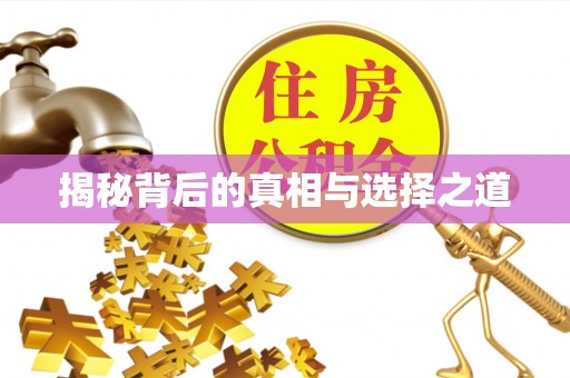 甘井子揭秘背后的真相与选择之道