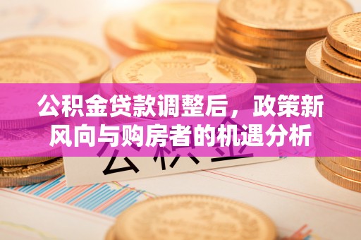 甘井子公积金贷款调整后，政策新风向与购房者的机遇分析