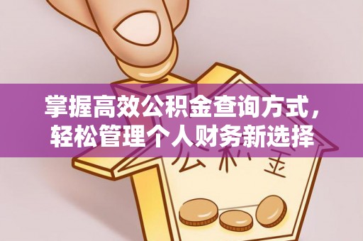 甘井子掌握高效公积金查询方式，轻松管理个人财务新选择