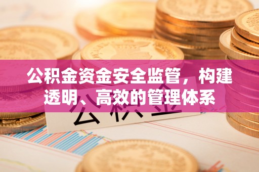 甘井子公积金资金安全监管，构建透明、高效的管理体系