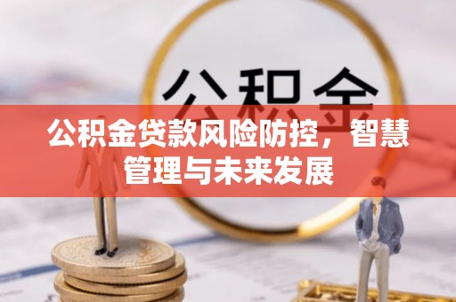 甘井子公积金贷款风险防控，智慧管理与未来发展