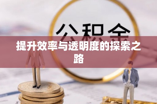 甘井子提升效率与透明度的探索之路