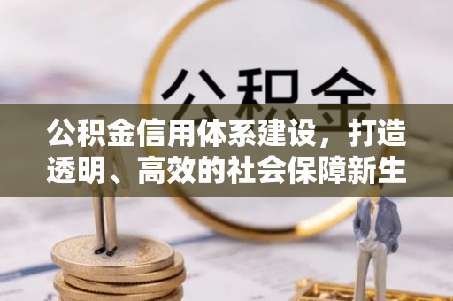 甘井子公积金信用体系建设，打造透明、高效的社会保障新生态
