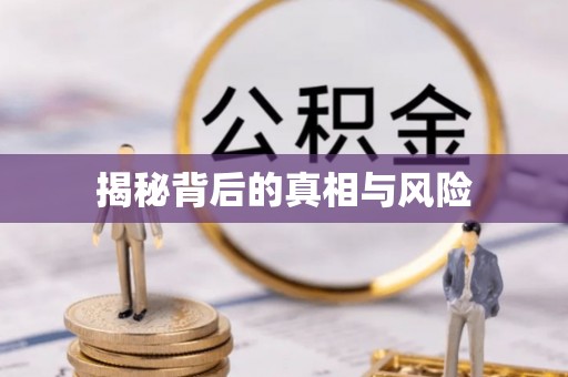 甘井子揭秘背后的真相与风险