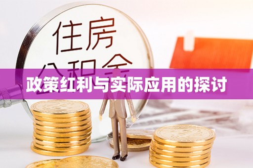 甘井子政策红利与实际应用的探讨