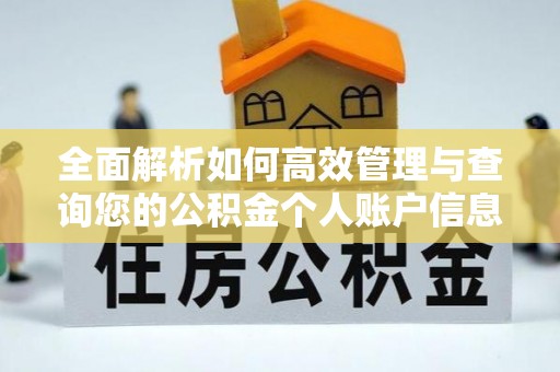 甘井子全面解析如何高效管理与查询您的公积金个人账户信息