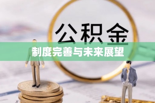 甘井子制度完善与未来展望
