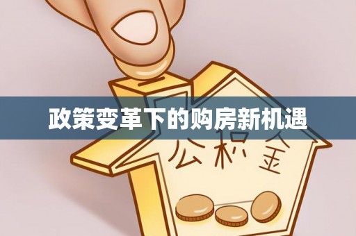 甘井子政策变革下的购房新机遇