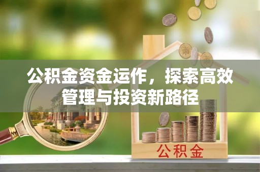 甘井子公积金资金运作，探索高效管理与投资新路径