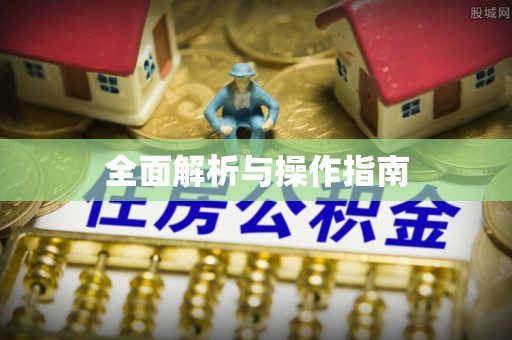 甘井子全面解析与操作指南