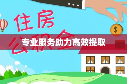 甘井子专业服务助力高效提取
