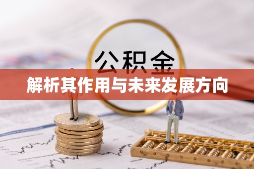 甘井子解析其作用与未来发展方向