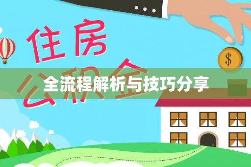 甘井子全流程解析与技巧分享