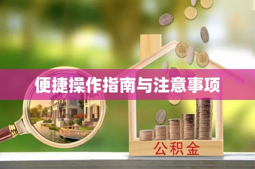 甘井子便捷操作指南与注意事项